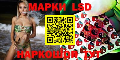 индика Новокубанск